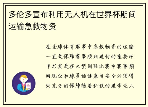 多伦多宣布利用无人机在世界杯期间运输急救物资 多伦多宣布利用无人机在世界杯期间运输急救物资